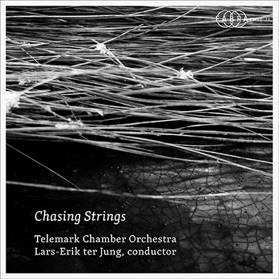 CHASING STRINGS